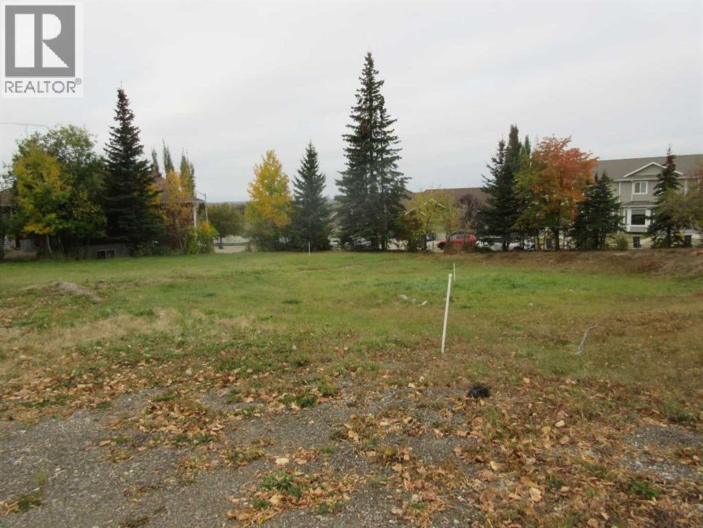 5137 52 Street, Rocky Mountain House, Alberta  T4T 1E3 - Photo 3 - A2262783