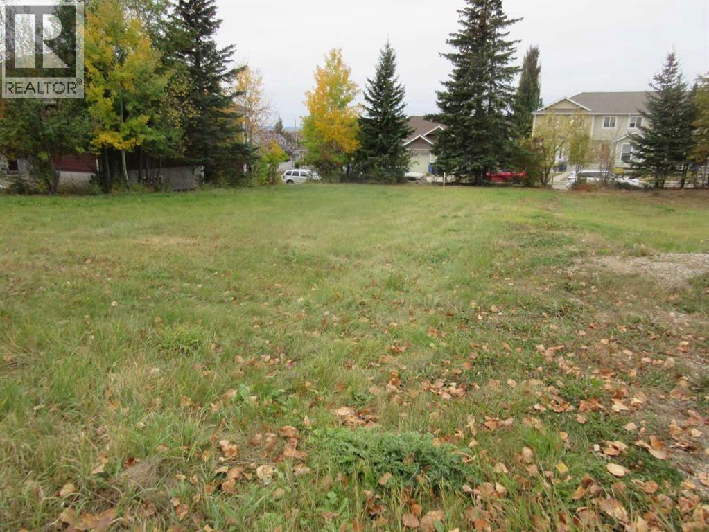 5137 52 Street, Rocky Mountain House, Alberta  T4T 1E3 - Photo 5 - A2262783