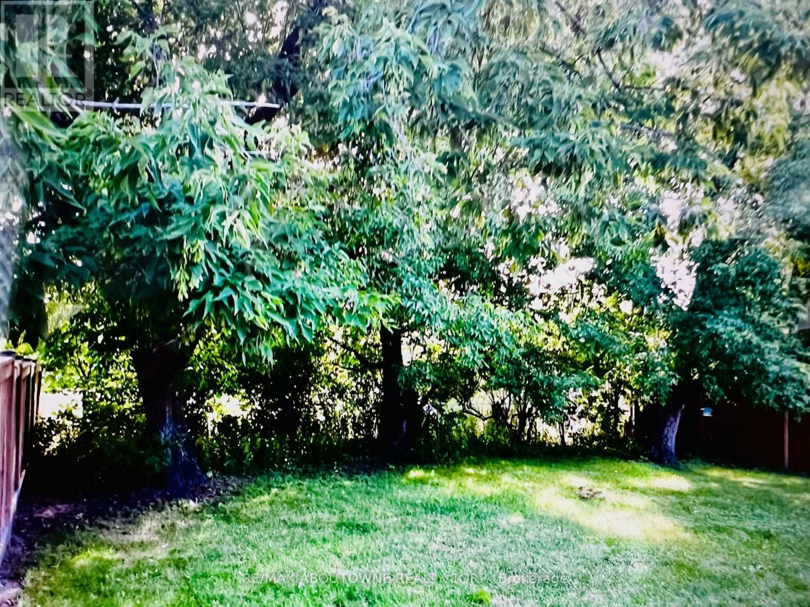 1419 Sandgate Crescent, Mississauga, Ontario  L5J 2E3 - Photo 23 - W12825810