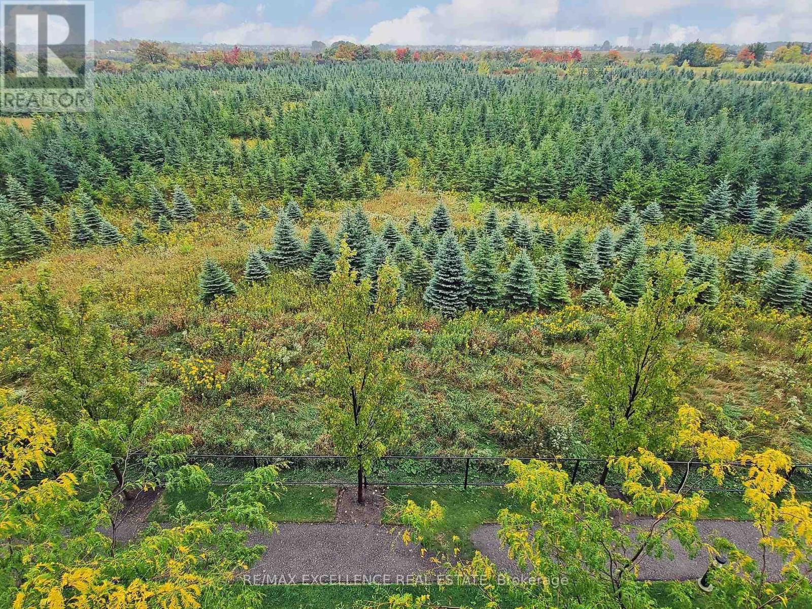 309 - 65 Yorkland Boulevard, Brampton, Ontario L6P 4M5 - Photo 36 - W12904314