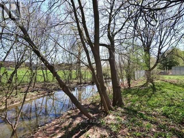 15 Pioneer Drive, Mississauga, Ontario  L5M 1G8 - Photo 13 - W12904774