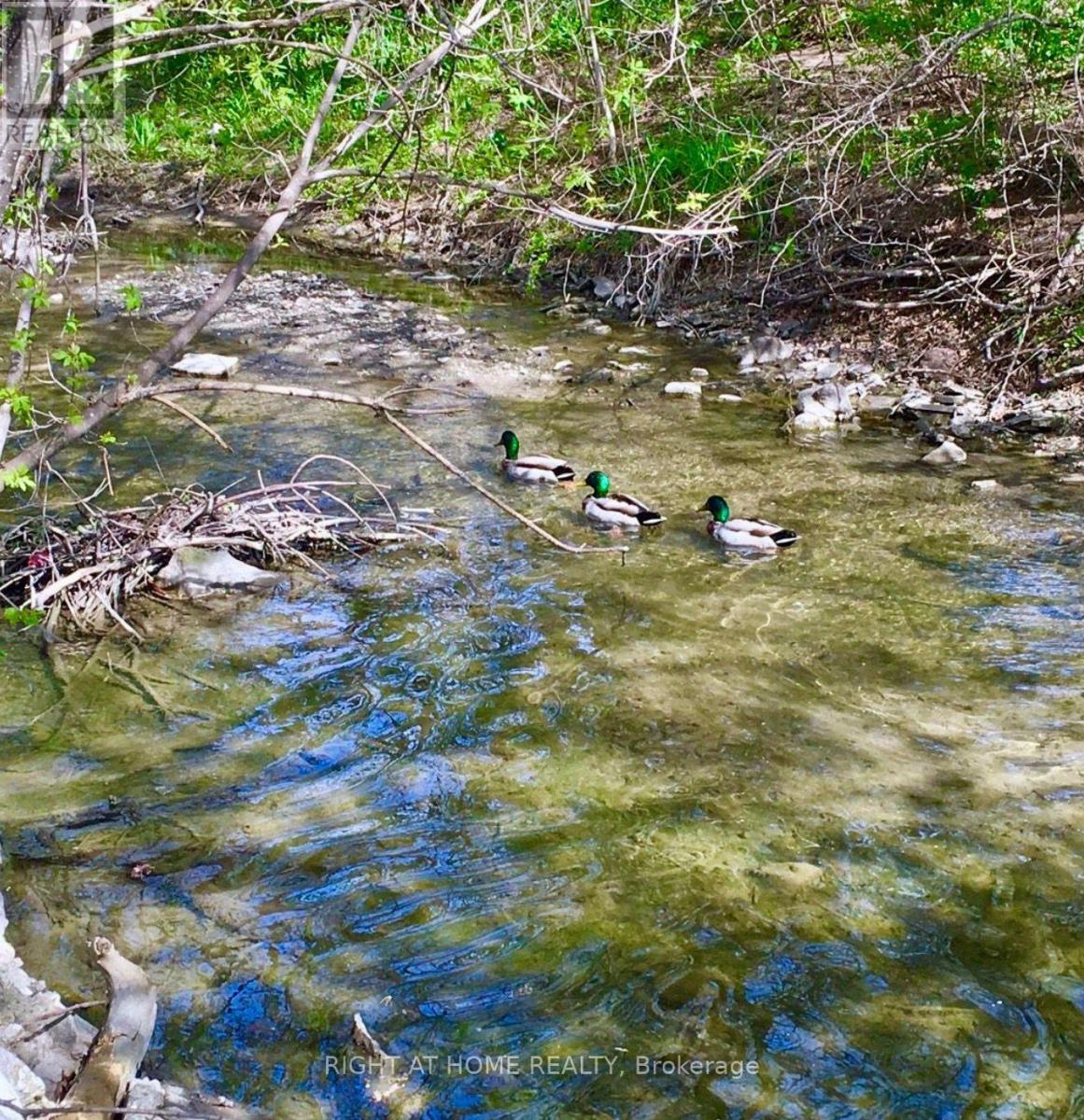 15 Pioneer Drive, Mississauga, Ontario  L5M 1G8 - Photo 14 - W12904774