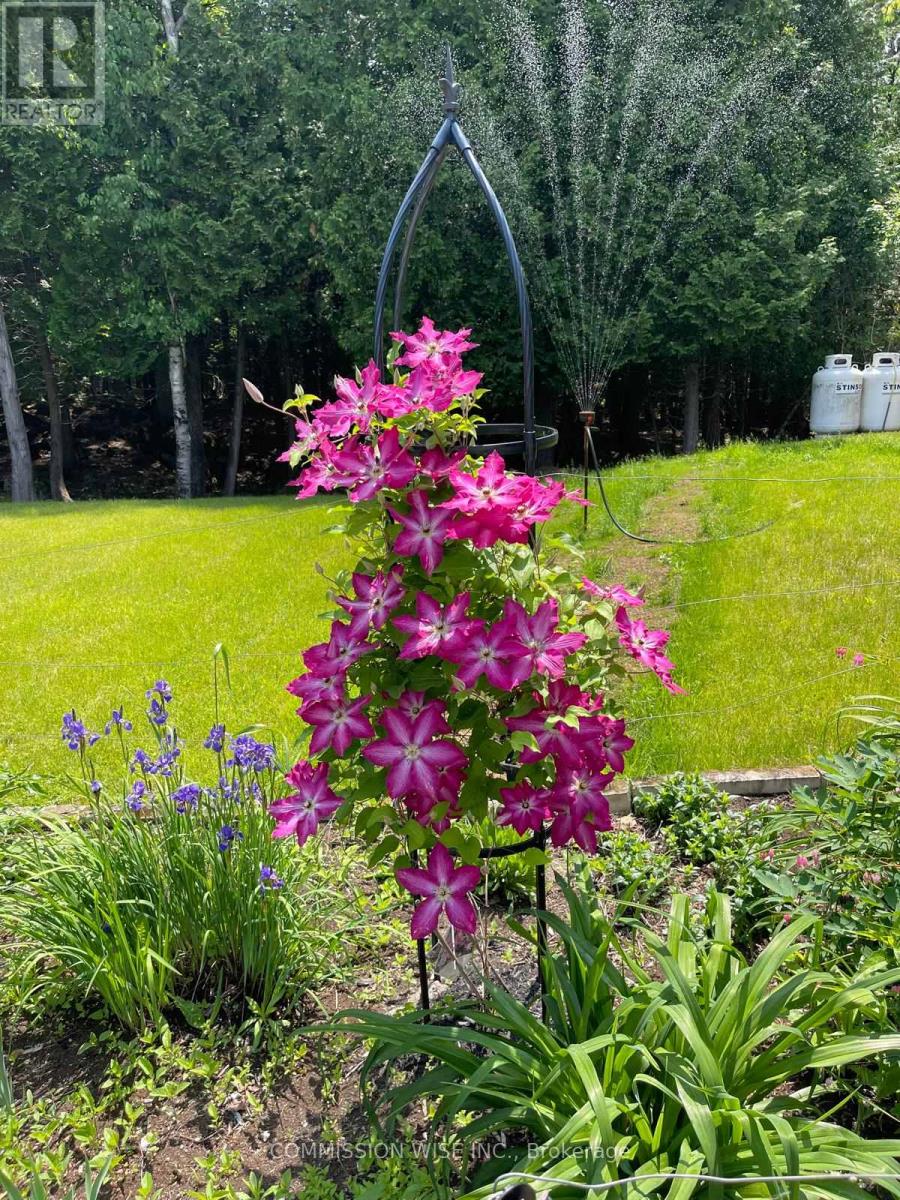 185 Morris Island Drive, Ottawa, Ontario  K7S 3G7 - Photo 32 - X12903732