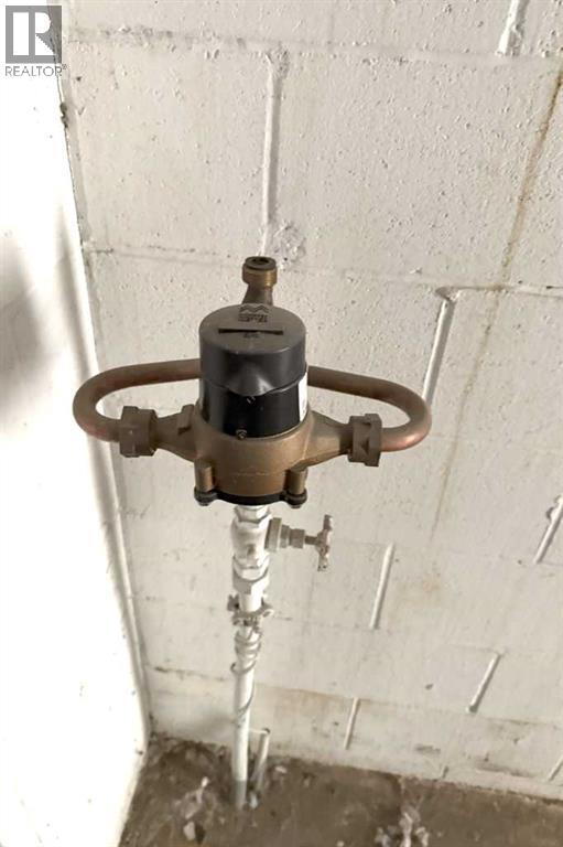 5120 49th Avenue, Innisfail, Alberta  T4G 1R1 - Photo 33 - A2273962