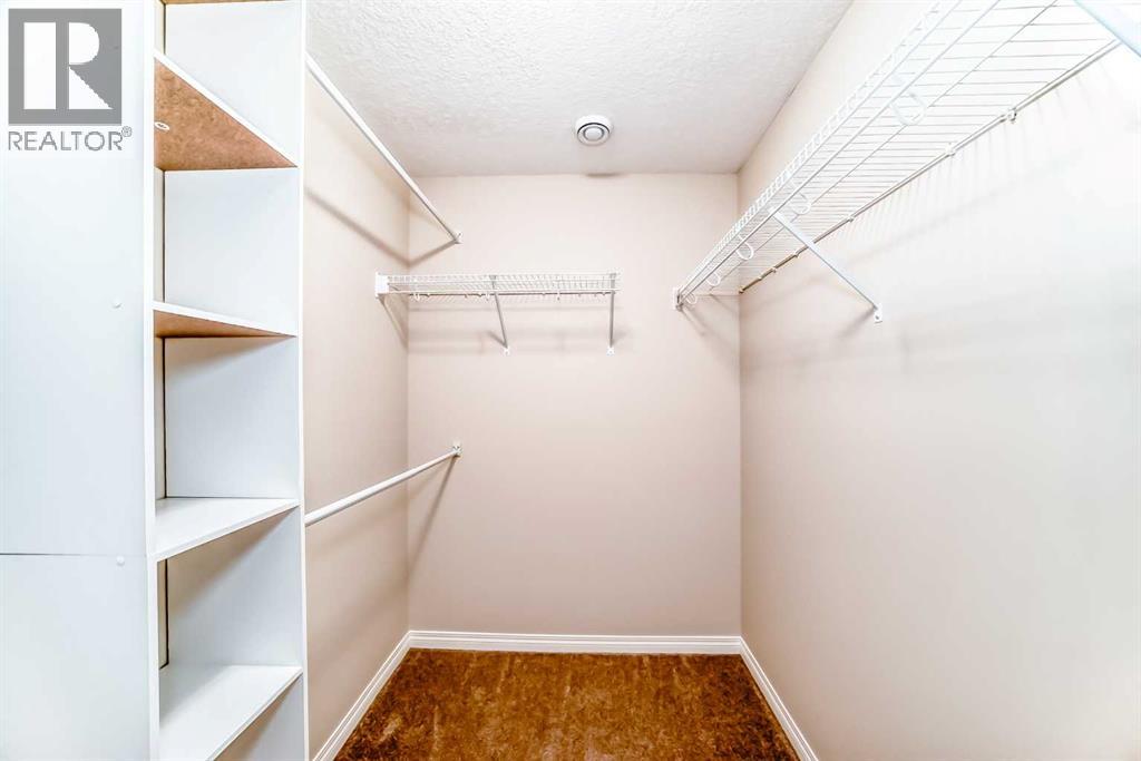 145 Red Sky Way Ne, Calgary, Alberta  T3N 0X7 - Photo 44 - A2295282