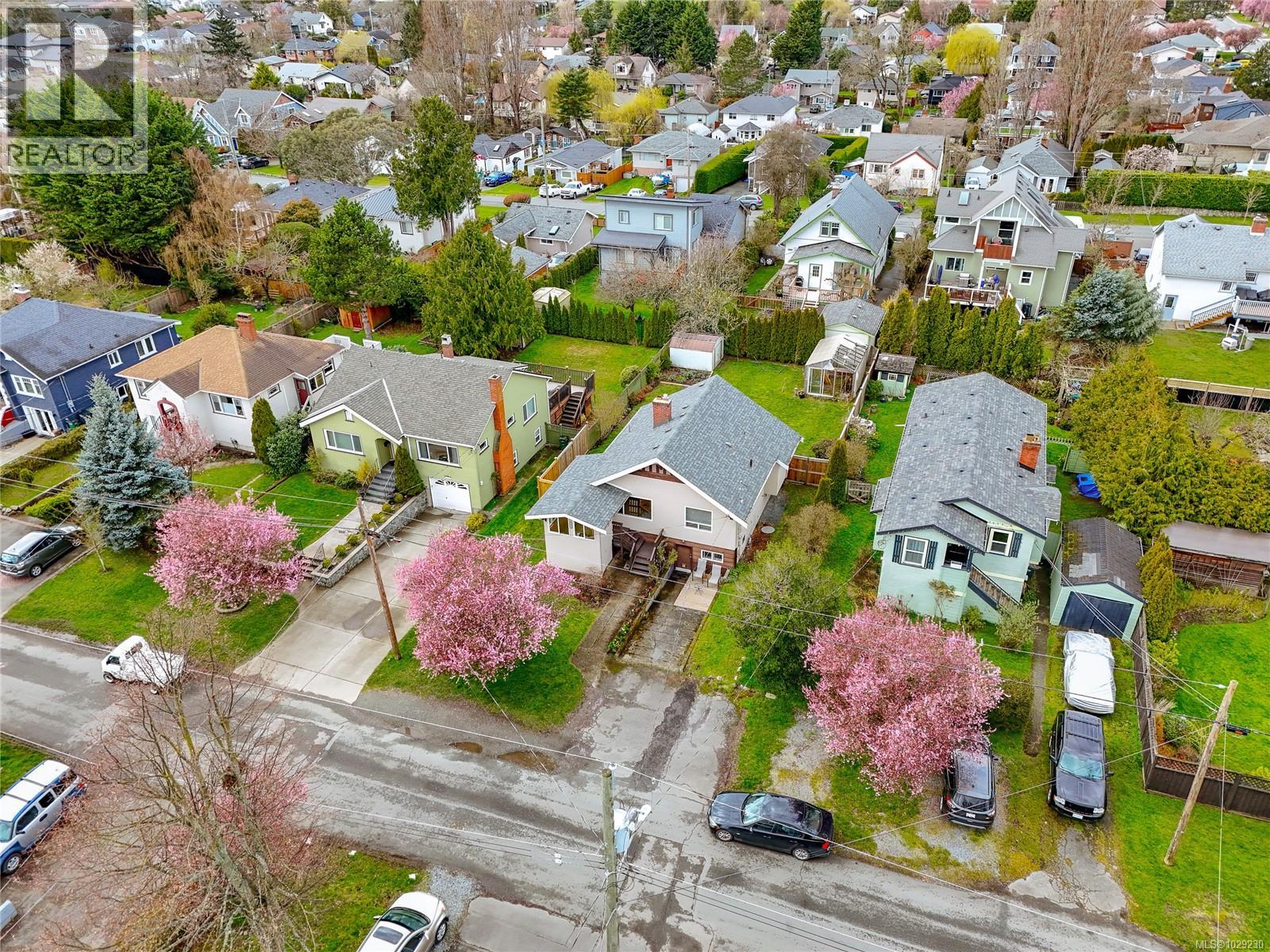 3074 Earl Grey St, Saanich, British Columbia  V9A 1W7 - Photo 4 - 1029230