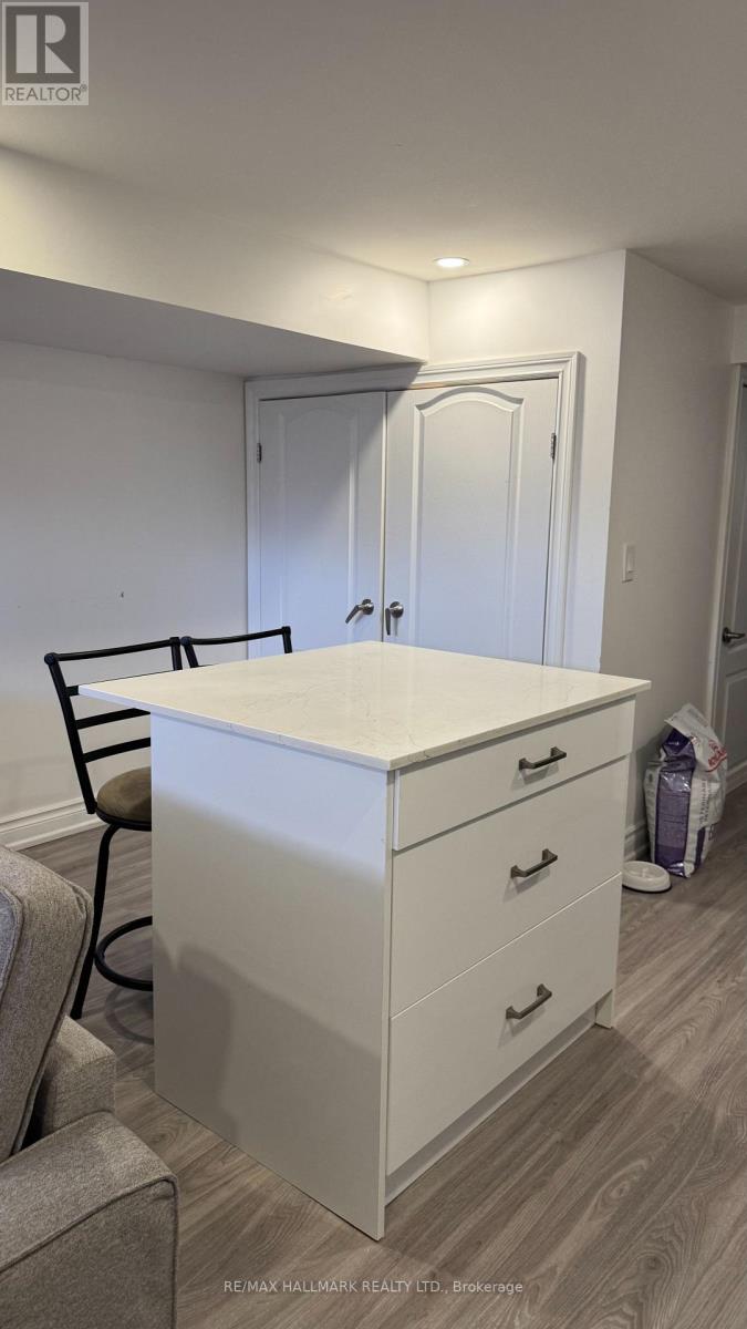 Bsmt - 255 Ashlar Road, Richmond Hill, Ontario  L4C 2W7 - Photo 11 - N12905938