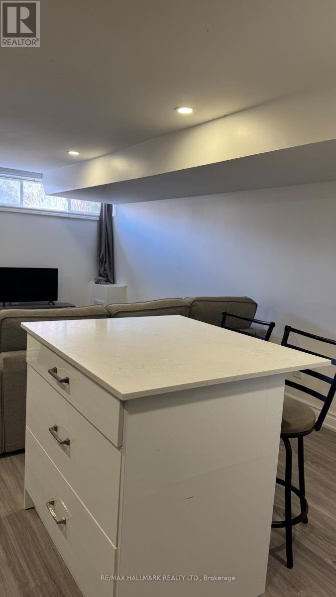 Bsmt - 255 Ashlar Road, Richmond Hill, Ontario  L4C 2W7 - Photo 14 - N12905938