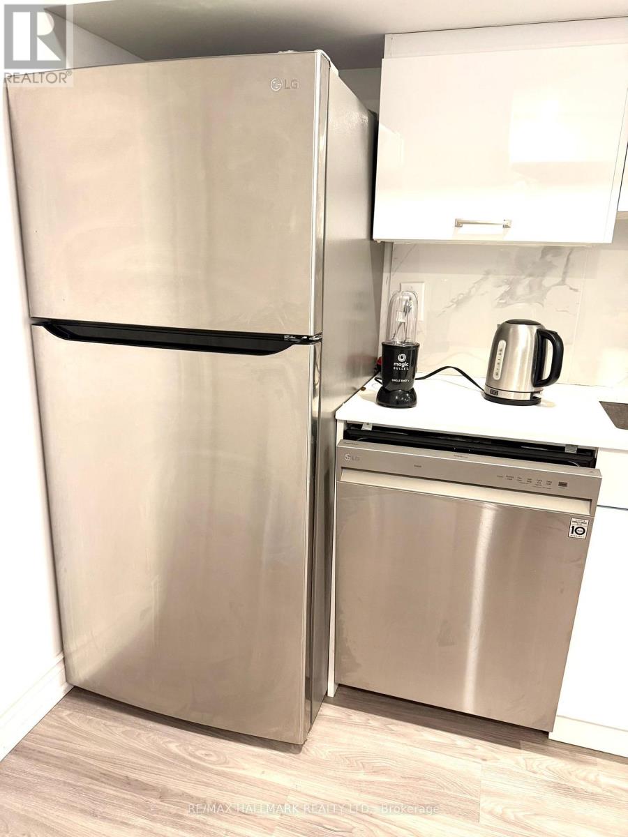 Bsmt - 255 Ashlar Road, Richmond Hill, Ontario  L4C 2W7 - Photo 4 - N12905938