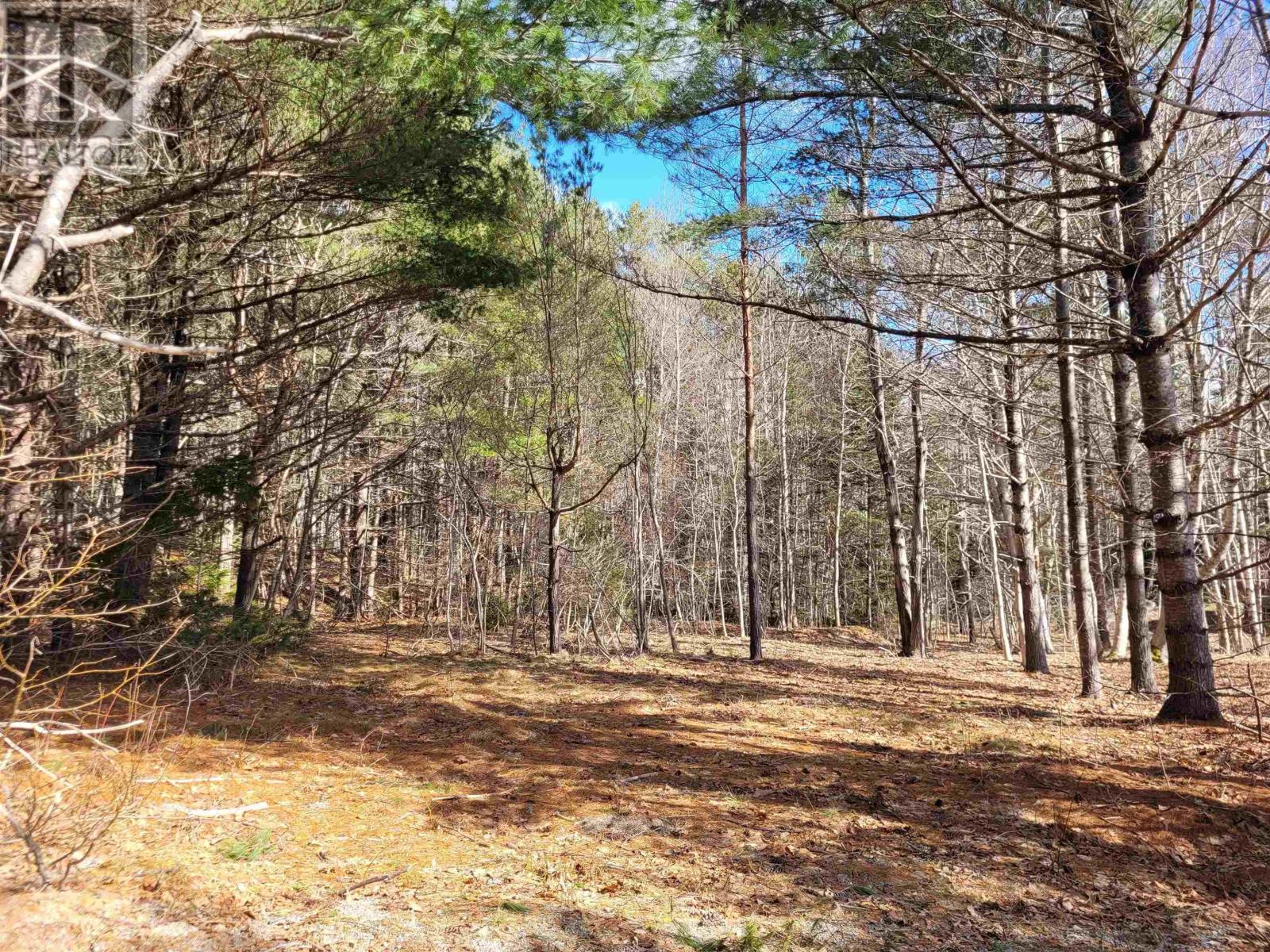 35 Mcdonald Road, White Point, Nova Scotia  B0T 1K0 - Photo 40 - 202603169