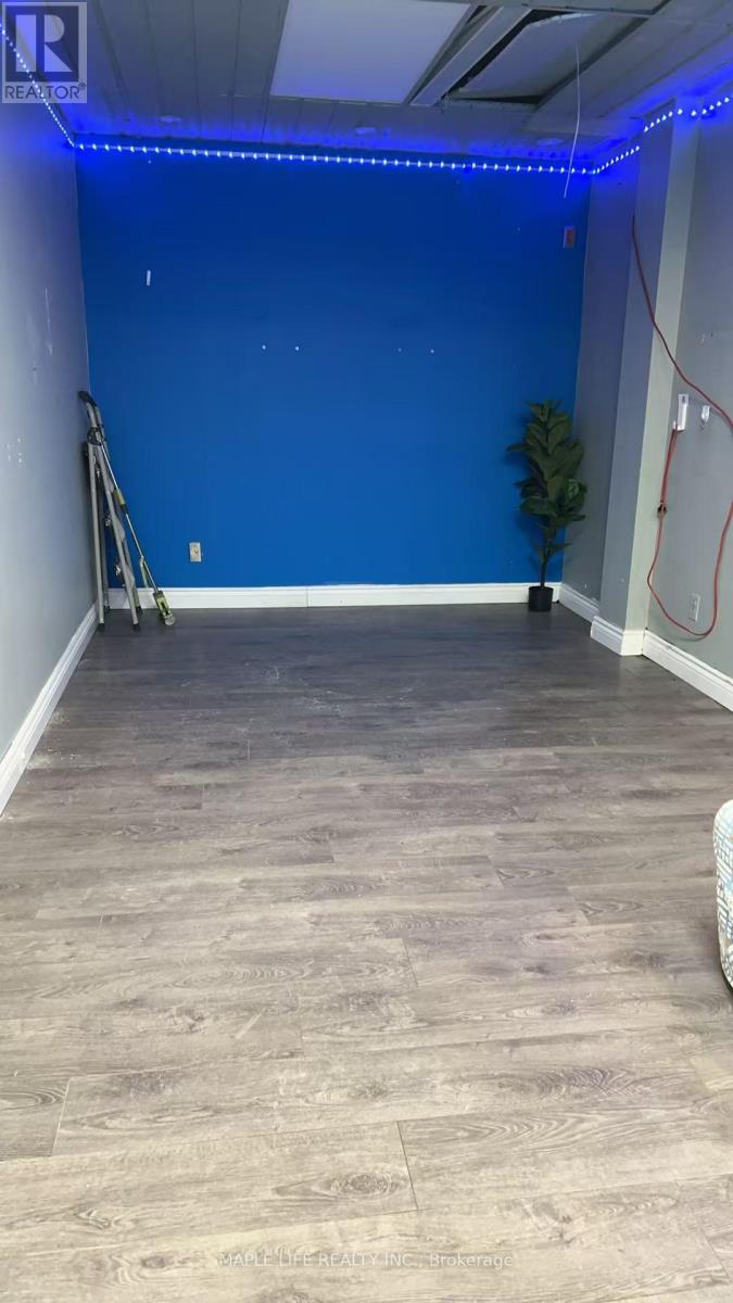 #202a - 424 Dundas Street W, Toronto, Ontario  M5T 1G7 - Photo 3 - C12906068