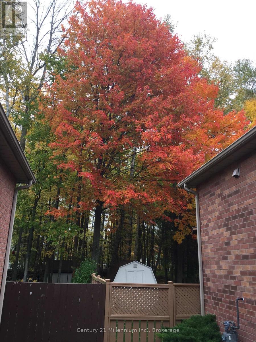 15 Brillinger Drive, Wasaga Beach, Ontario  L9Z 1L4 - Photo 44 - S12906094