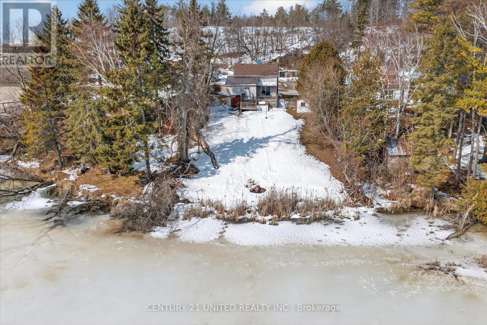 4401 7 Highway, Asphodel-Norwood, Ontario  K0L 2V0 - Photo 5 - X12905118