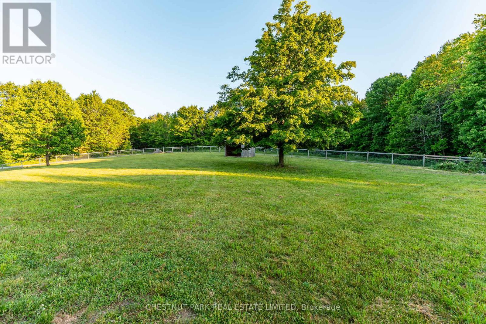 1123 Nu-Ne Lane, Algonquin Highlands, Ontario  K0M 1S0 - Photo 14 - X12906192