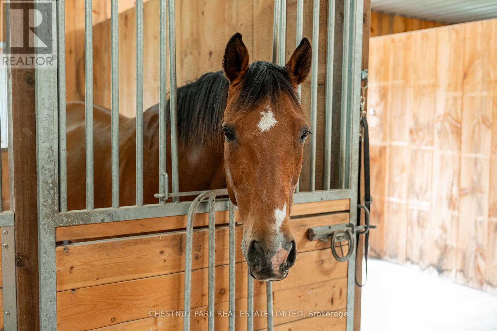 1123 Nu-Ne Lane, Algonquin Highlands, Ontario  K0M 1S0 - Photo 6 - X12906192