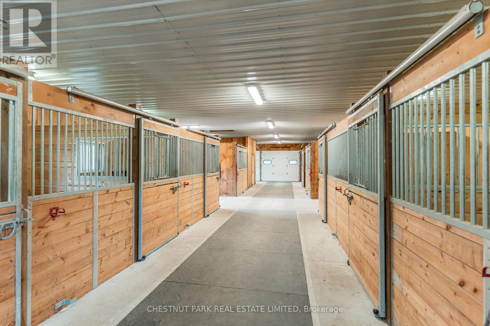 1123 Nu-Ne Lane, Algonquin Highlands, Ontario  K0M 1S0 - Photo 8 - X12906192