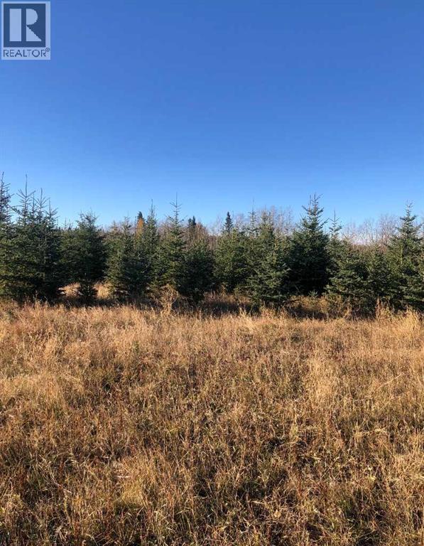 51038 Township Road 36-0a, Rural Clearwater County, Alberta  T0M 0M0 - Photo 24 - A2293984