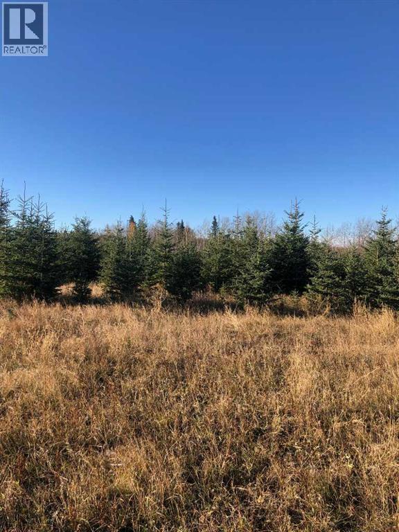 51038 Township Road 36-0a, Rural Clearwater County, Alberta  T0M 0M0 - Photo 21 - A2293984