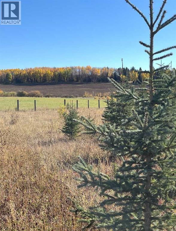 51038 Township Road 36-0a, Rural Clearwater County, Alberta  T0M 0M0 - Photo 25 - A2293984