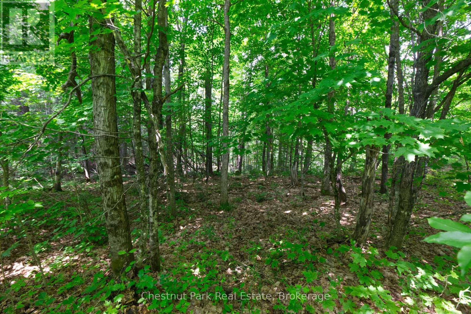 Lot 78 141 Highway, Seguin, Ontario  P0C 1J0 - Photo 6 - X12902062