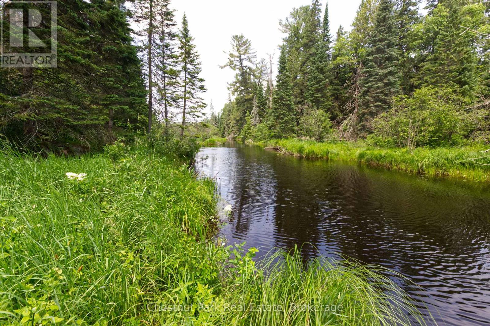 Lot 78 141 Highway, Seguin, Ontario  P0C 1J0 - Photo 9 - X12902062