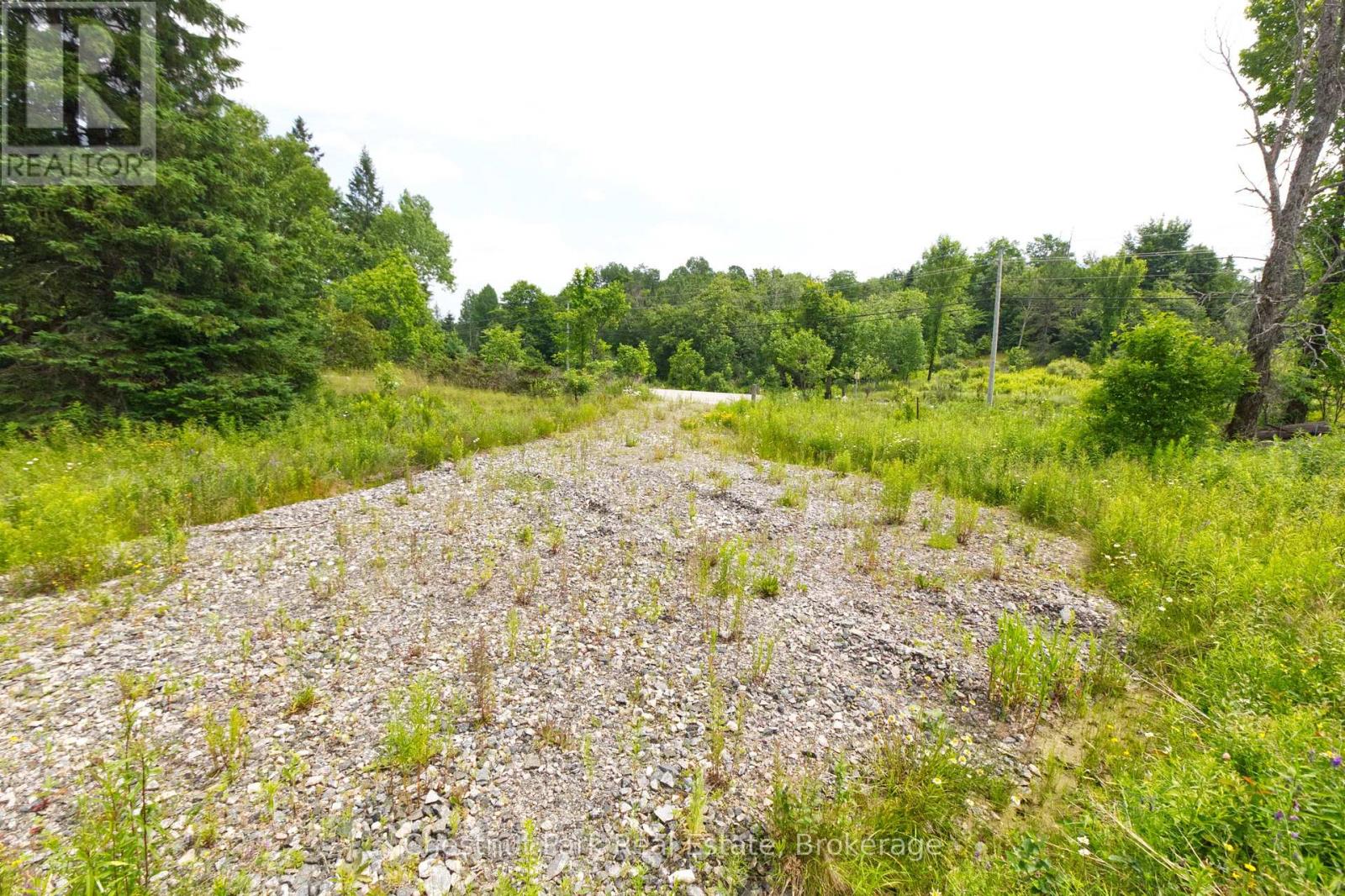 Lot 78 141 Highway, Seguin, Ontario  P0C 1J0 - Photo 3 - X12902062