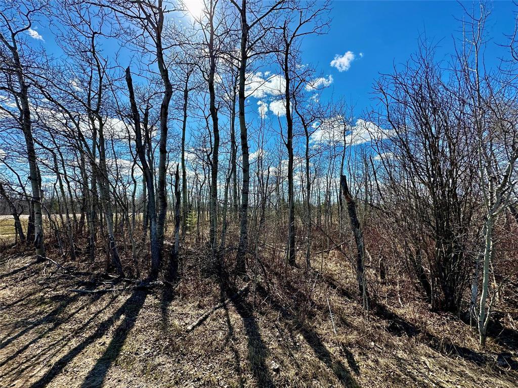2 Paradise Lane, Alexander Rm, Manitoba  R0E 1A0 - Photo 0 - 202605168