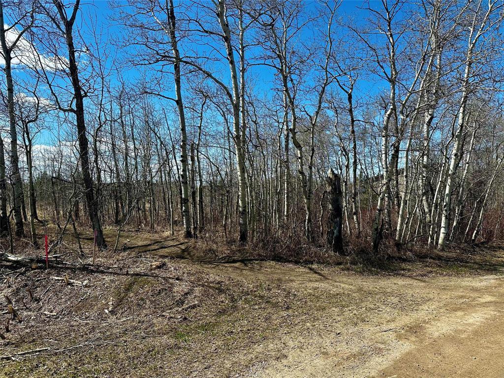 2 Paradise Lane, Alexander Rm, Manitoba  R0E 1A0 - Photo 1 - 202605168