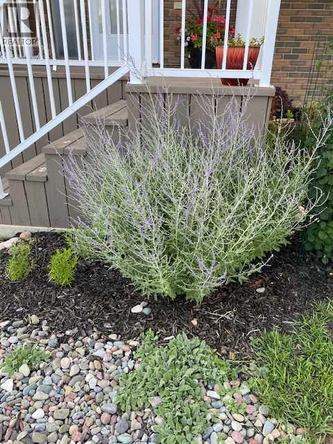 598 Thistle Crescent, Pincher Creek, Alberta  T0K 1W0 - Photo 37 - A2289201