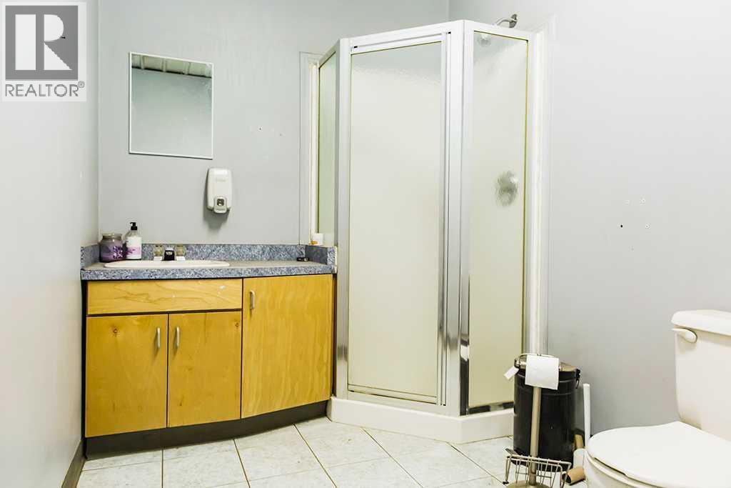 723047 A & B Range Road 54, Rural Grande Prairie No. 1, Alberta  T8X 4J6 - Photo 48 - A2284611