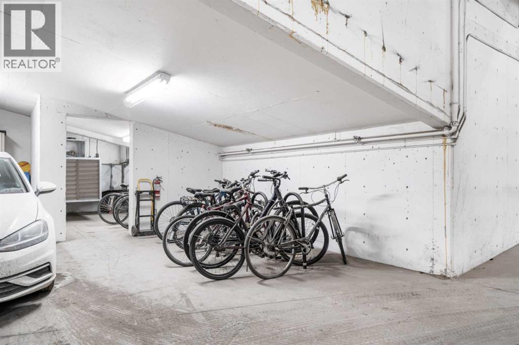 302, 1029 15 Avenue Sw, Calgary, Alberta  T2R 0S5 - Photo 28 - A2288568