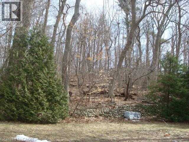 135 Glenforest Road, Cambridge, Ontario  N3C 1V6 - Photo 45 - 40813893