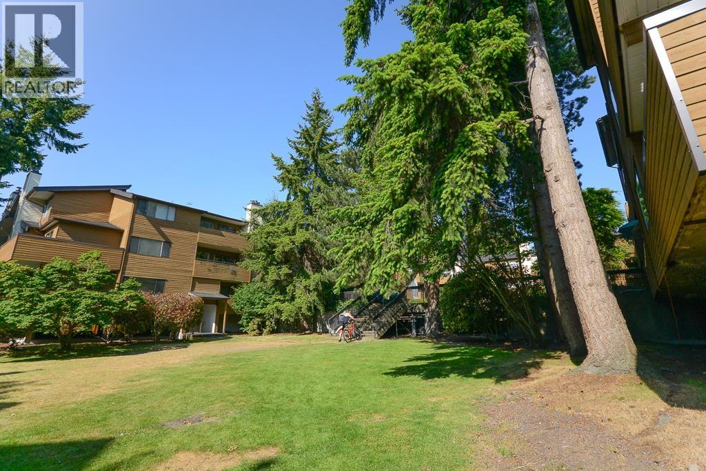 263 7293 Moffatt Road, Richmond, British Columbia  V6Y 3E4 - Photo 3 - R3101981