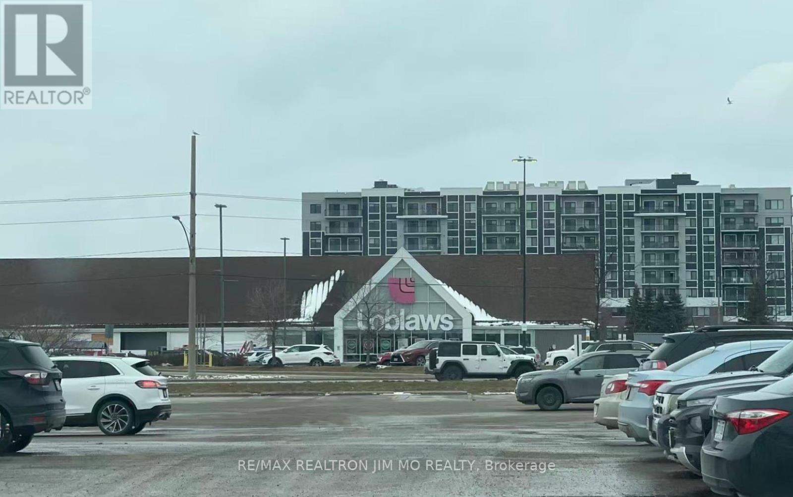 100 Sanderson Drive, Kawartha Lakes (Lindsay), Ontario  K9V 0S8 - Photo 48 - X12898160