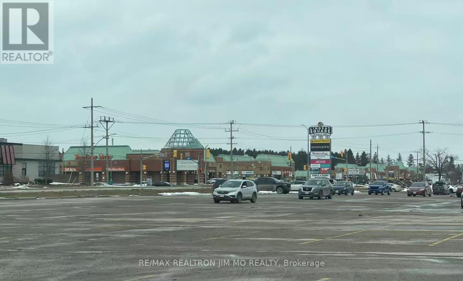 100 Sanderson Drive, Kawartha Lakes (Lindsay), Ontario  K9V 0S8 - Photo 49 - X12898160