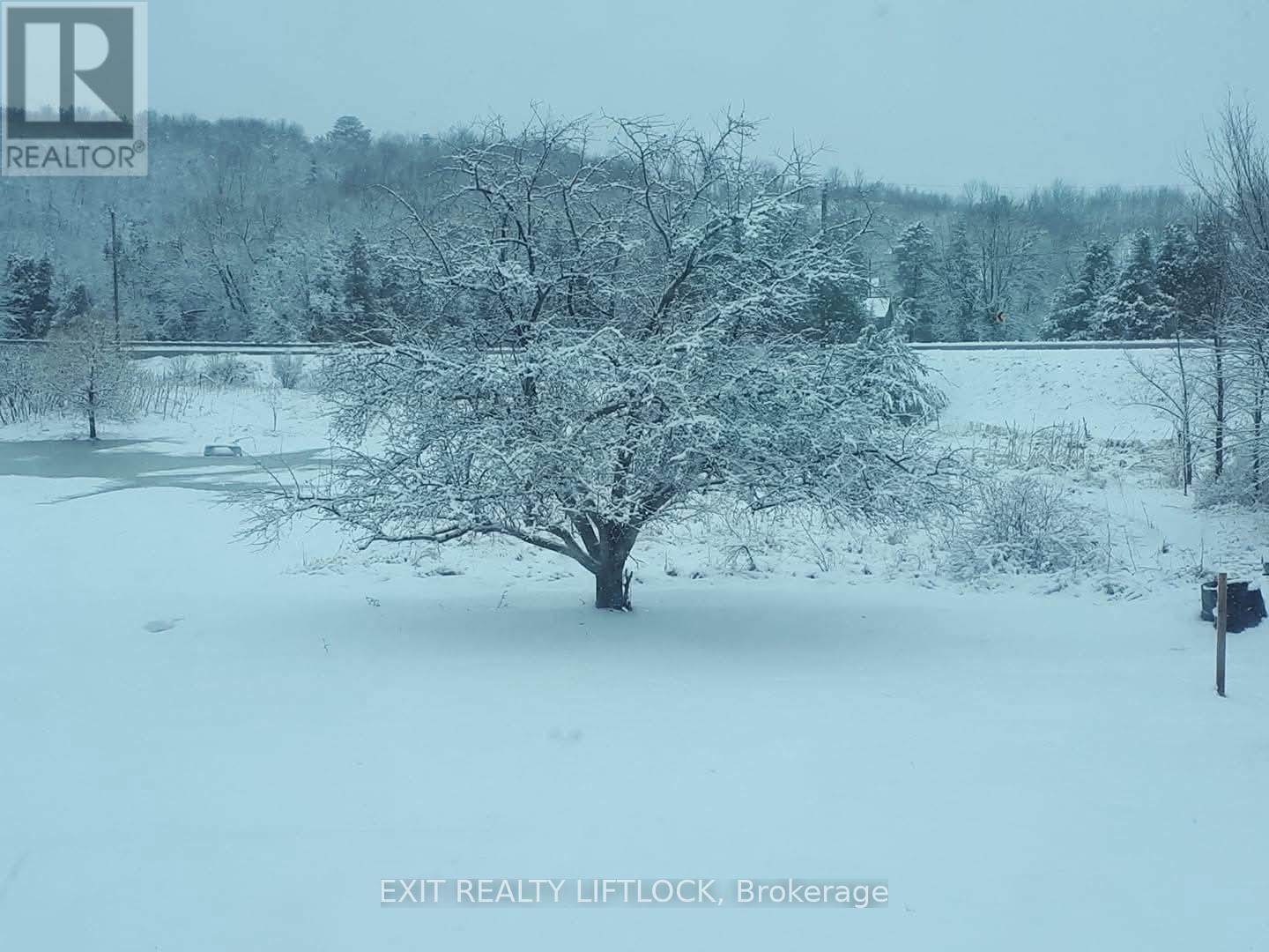 17 Banta Road, Trent Hills, Ontario  K0K 3K0 - Photo 27 - X12865632