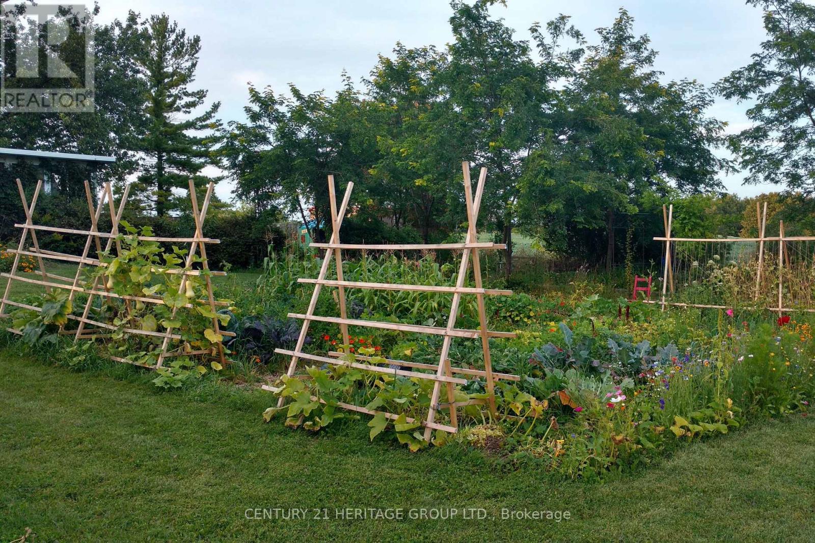 1009 Hwy 7, Kawartha Lakes, Ontario  K0M 2M0 - Photo 37 - X12906528