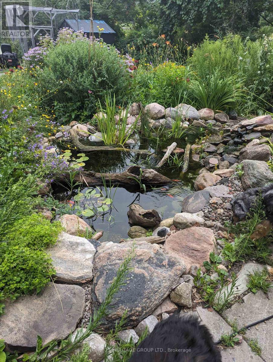 1009 Hwy 7, Kawartha Lakes, Ontario  K0M 2M0 - Photo 39 - X12906528