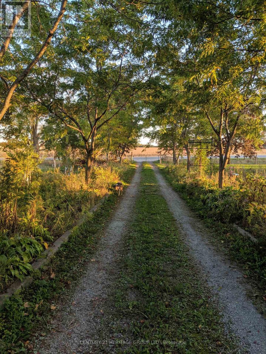 1009 Hwy 7, Kawartha Lakes, Ontario  K0M 2M0 - Photo 40 - X12906528