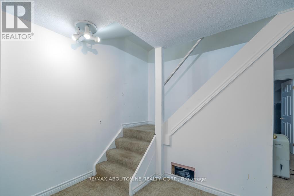 14 Sable Drive, Hamilton, Ontario  L9K 1K9 - Photo 49 - X12906550