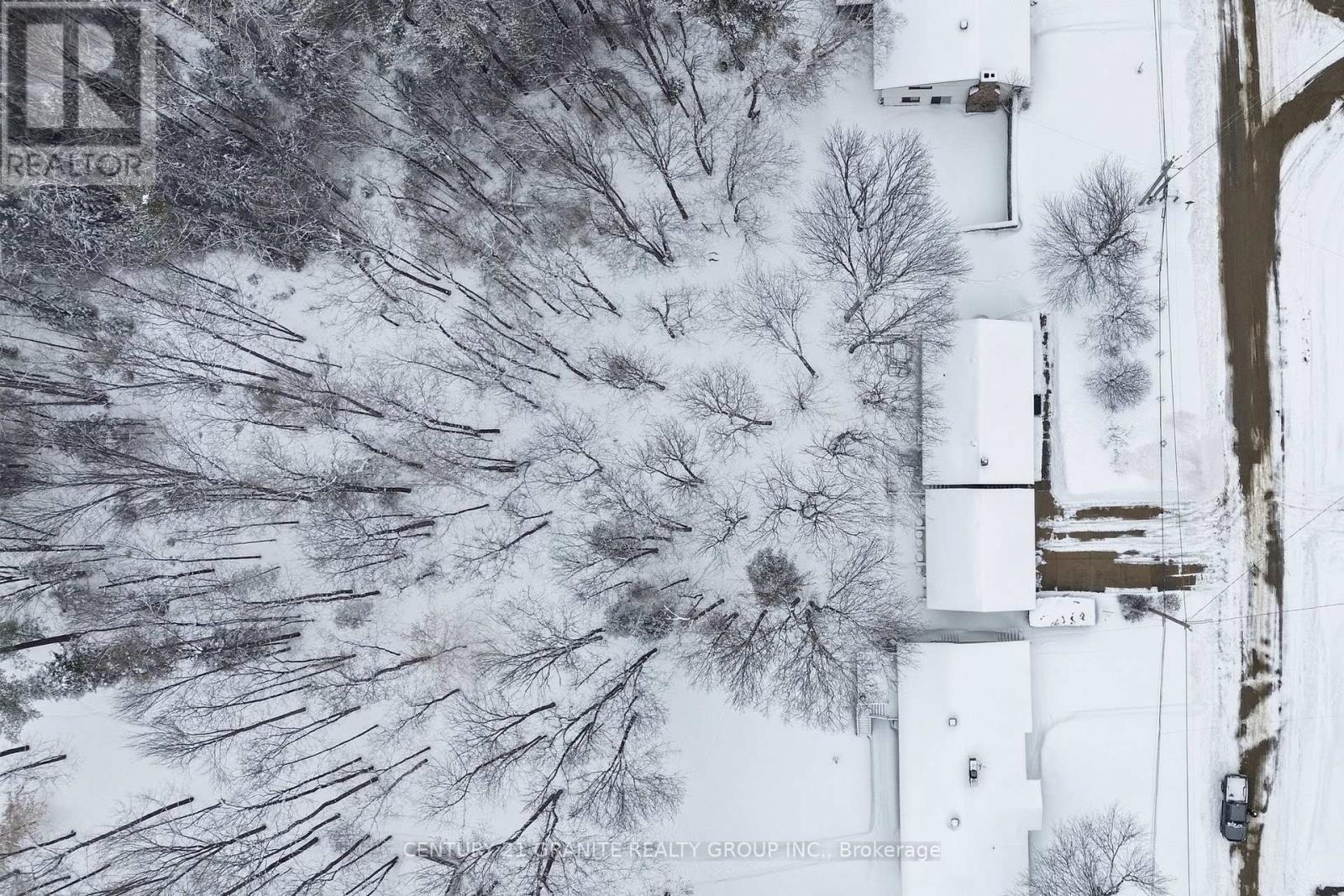 12 Forest Hill Road, Bancroft, Ontario  K0L 1C0 - Photo 49 - X12906570