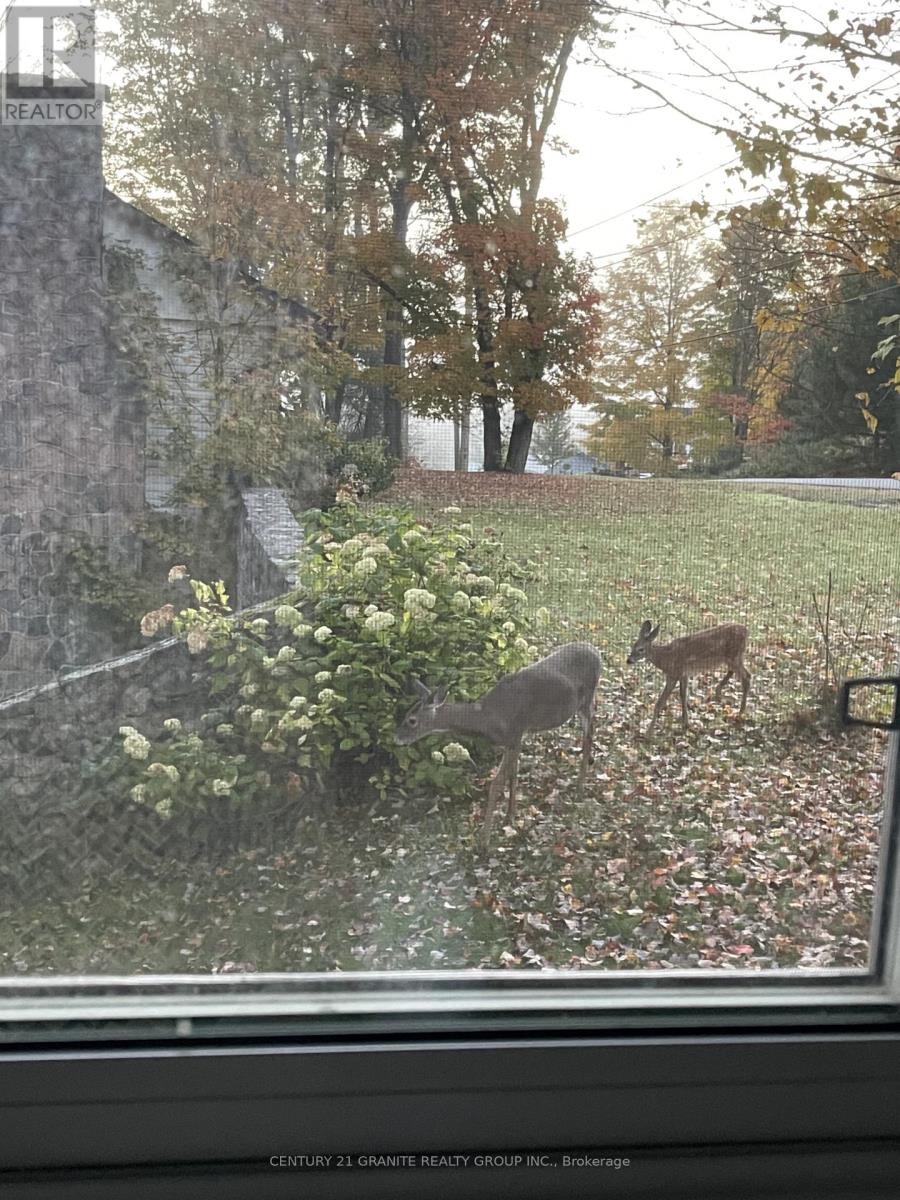 12 Forest Hill Road, Bancroft, Ontario  K0L 1C0 - Photo 5 - X12906570