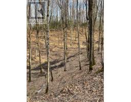 0 RALLISON LANE, Faraday, Ontario