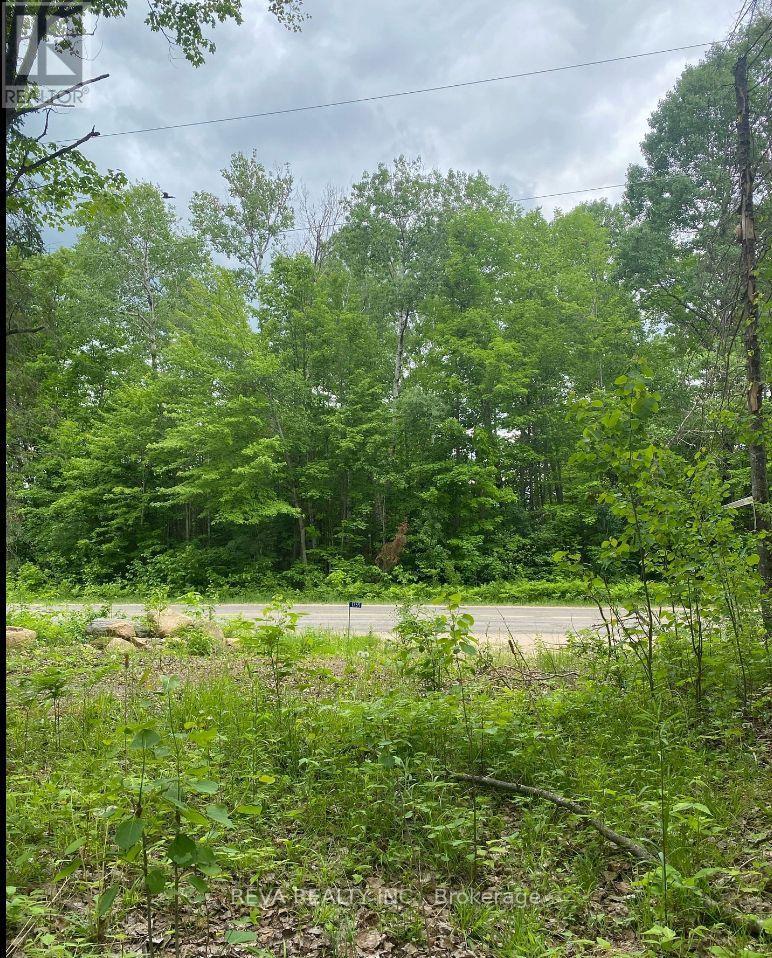 1755 South Baptiste Lake Road, Hastings Highlands, Ontario  K0L 1C0 - Photo 10 - X12906588