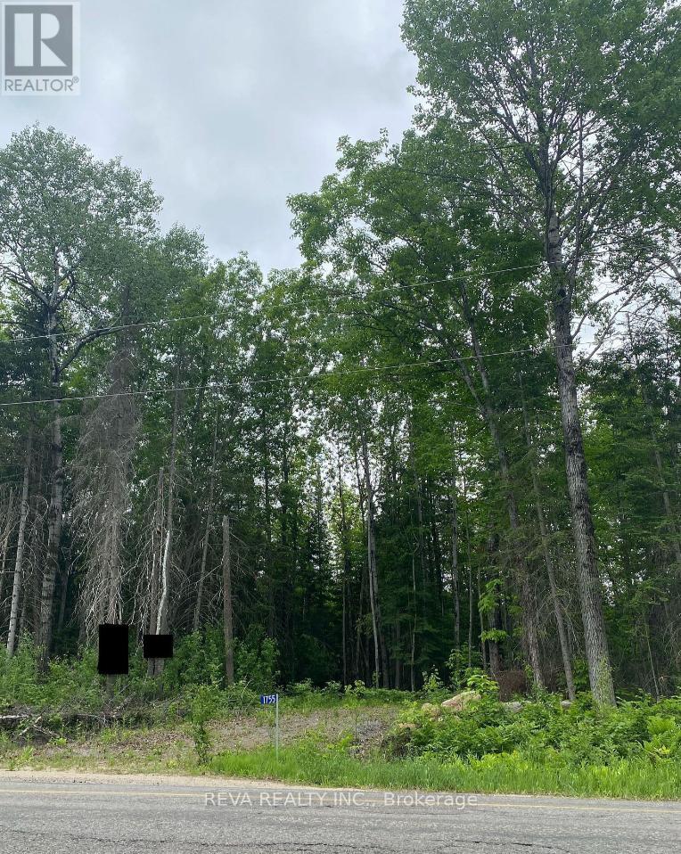 1755 South Baptiste Lake Road, Hastings Highlands, Ontario  K0L 1C0 - Photo 13 - X12906588