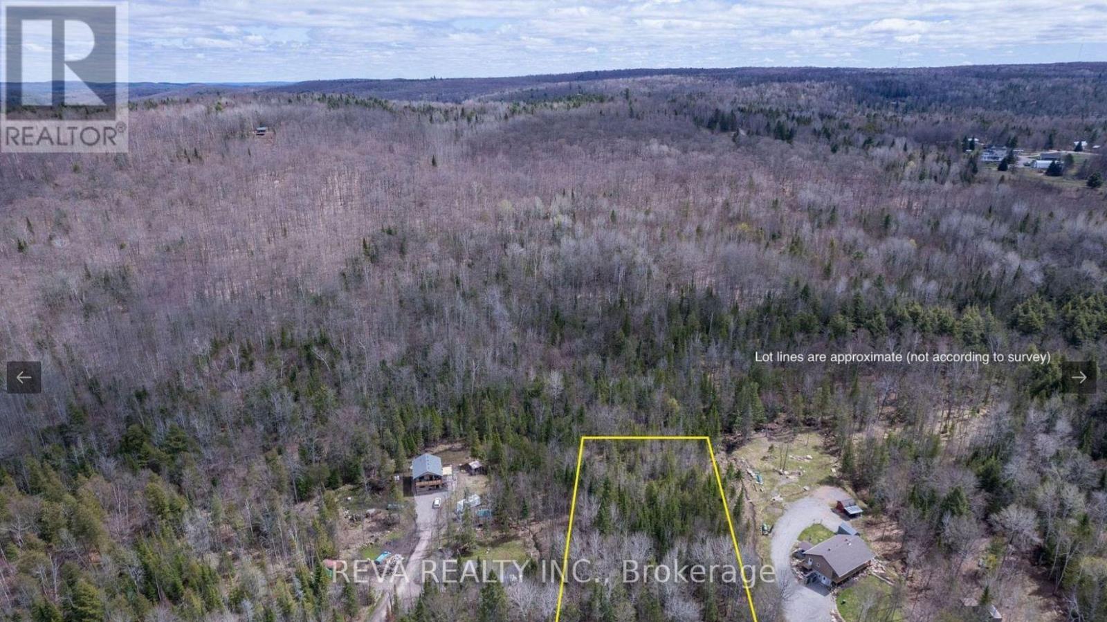 1755 South Baptiste Lake Road, Hastings Highlands, Ontario  K0L 1C0 - Photo 5 - X12906588