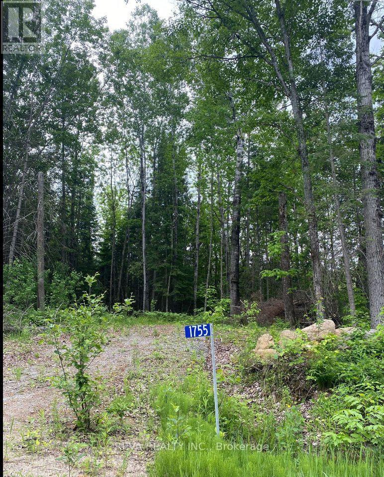 1755 South Baptiste Lake Road, Hastings Highlands, Ontario  K0L 1C0 - Photo 8 - X12906588