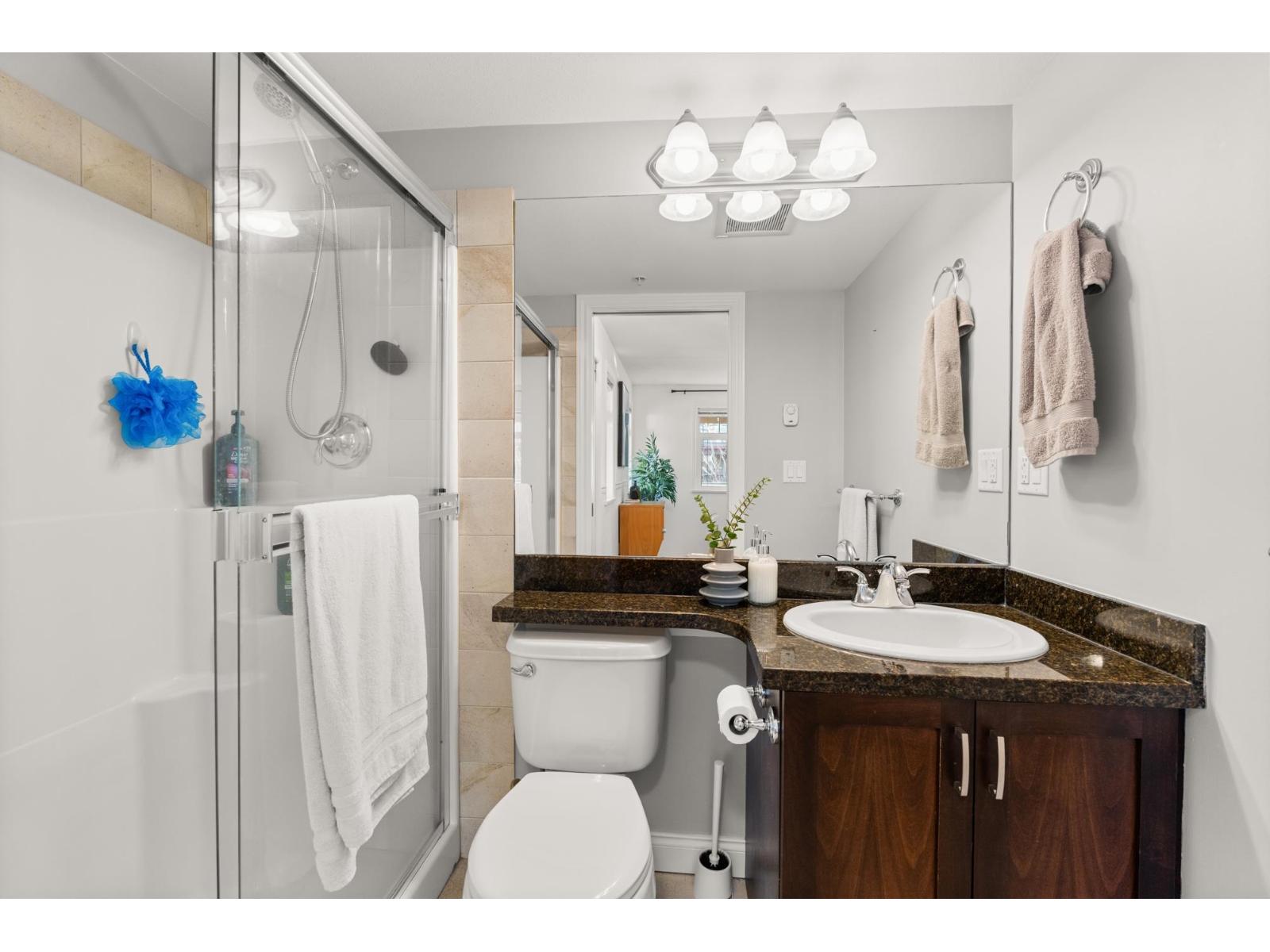 236 5660 201a Street, Langley, British Columbia  V3A 0B4 - Photo 16 - R3090190