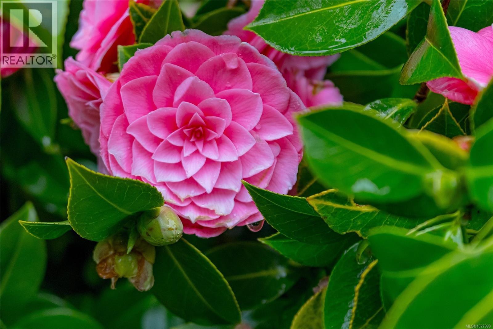 14 5110 Cordova Bay Rd, Saanich, British Columbia  V8Y 2K5 - Photo 30 - 1027998