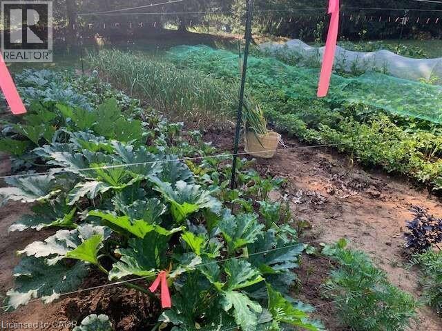 1109 Effingham Street, Pelham, Ontario  L0S 1C0 - Photo 19 - 40813996